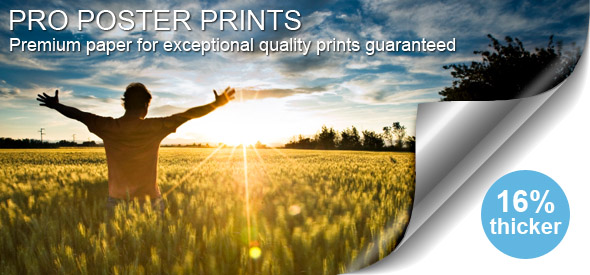 Purchase Pro-Poster Prints