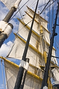 Under sail on the Picton Castle