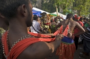 Thaipusam devotee with hooks in his back