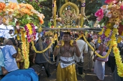 Thaipusam pilgrim with shrine to Lord Murugan decorated with flowers