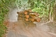 A logging truck loaded with tropical hard woods drives along a dusty jungle road.