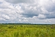 Image of High cumulus rain clouds over grassland and forest.