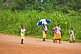 Image of Children with umbrella walk home from morning school past high grass and trees.