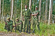 A squad of Angolan soldiers with assault rifles in eucalyptus plantation.