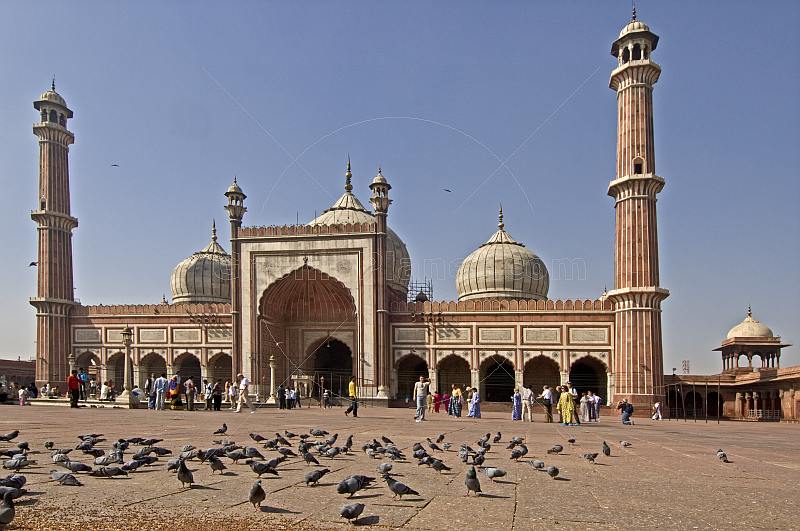 Pigeons feeding in the courtyard of the Jama Masjid built by Shah Jahan in 1644.