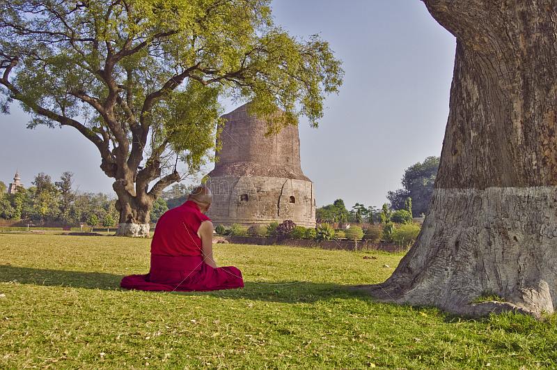 Buddhist monk sits in silent meditation before the 5thC Dhamekh Stupa at Sarnath.