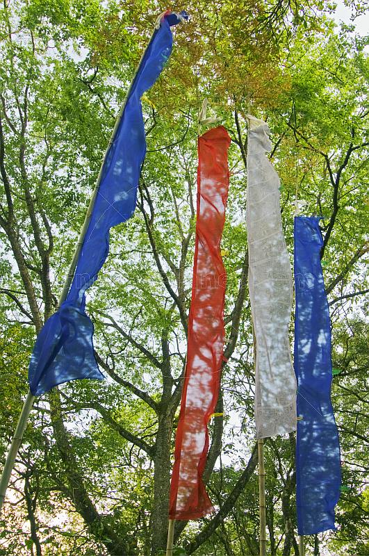 Red white and blue Prayer flags in forest near the Do-drul Chorten.