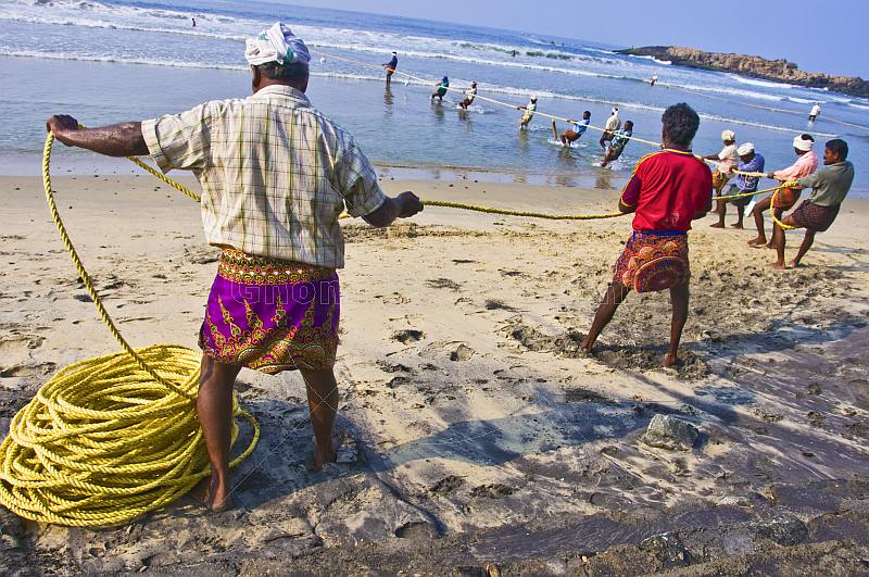Indian fishermen wearing lunghis haul in their nets from the beach.