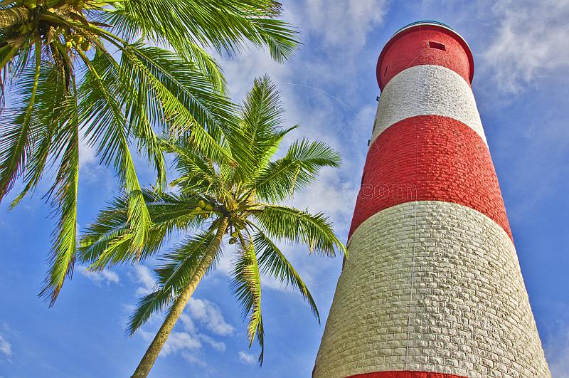 Red and white bands of Vizhinjam Lighthouse tower, with coconut palm.
