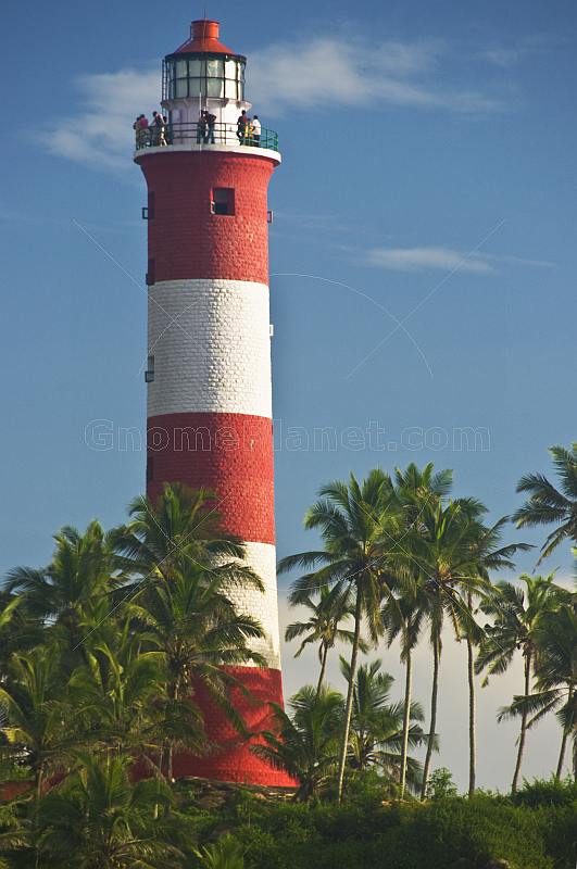 Red and white bands of Vizhinjam Lighthouse tower, set amongst coconut palm trees.
