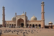 Pigeons feeding in the courtyard of the Jama Masjid built by Shah Jahan in 1644.