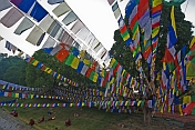 Buddhist monks rest under the shade of trees and prayer-flags.