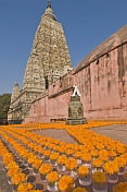 Floral tributes to the Buddha left by pilgrims visiting the Mahabodhi Temple.