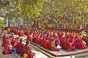 Buddhist monks wait for services to begin at the Mahabodhi Temple.