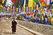 Young trainee Buddhist monk walks past colorful prayer flags.