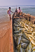 caption: Two fishermen with their boat full of fish.