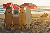 India, Kerala, Kovalam. Surfboards on Lighthouse Beach as the sun goes down.