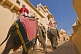 Image of Elephants walk up the ramp to the Amber Fort and the Amber Palace.
