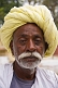 Image of Rajsthani farmer in a light yellow turban.