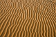Image of Wind-blown ridges in the sand dunes.