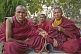 Image of Buddhist monks gather for a puja at the Mahabodhi Temple.