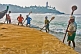 Image of Fishermen use their oars to stop the fishing net getting washed back out to sea.