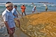 Image of Fishermen use their oars to stop the fishing net getting washed back out to sea, whilst one rolls a cigarette.