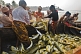 Image of Fishermen use their boat as a temporary store for their fish.