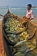 A fishermen rests in his boat full of fish.