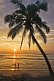 A young couple walk along the beach at sunset, framed by a coconut palm tree.