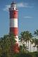 Image of Red and white bands of Vizhinjam Lighthouse tower, set amongst coconut palm trees.