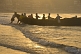 Image of Dawn rises over Lighthouse Beach as fishermen struggle to launch their fishing boat into the surf.