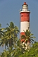 Image of Vizhinjam Lighthouse and coconut palm trees against a deep tropical blue sky.