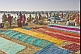Image of Colorful saris laid out to dry on reed-covered banks of Ganges River near the Sangam.