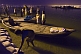Image of Rowing boats next to pontoon bridge 18 at Ganges Yamuna Sangam in pre-dawn light.