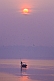 Image of Solitary rowing boat with pilgrim visits Sangam on River Ganges in early dawn light.