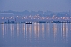 Image of Rowing boats take pilgrims to visit Ganges Yamuna river Sangam before dawn.