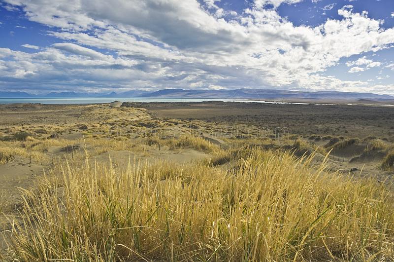 View over dune and heathland next to Lago Argentino.