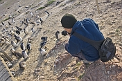 Photographing penguins at the Penguin Colony on the Bahia Camarones.