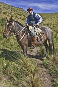 Gaucho horseman sits astride a brown horse at the Estancia Los Potreros.