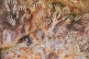 Ancient hand-prints on the cliffs and valley at the Cueva De Las Manos.