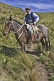 Gaucho horseman sits astride a brown horse at the Estancia Los Potreros.