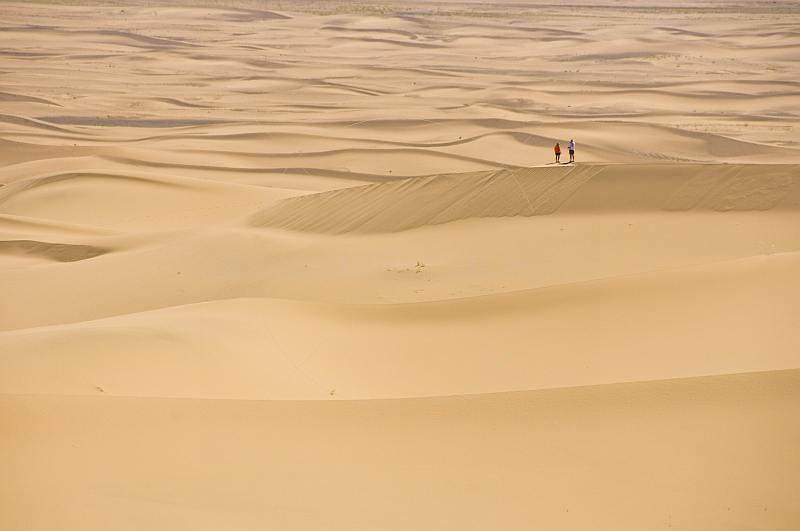 Sand dunes at the 'Singing Dunes' - Khongoryn Els, the largest and most spectacular dune system in the country.