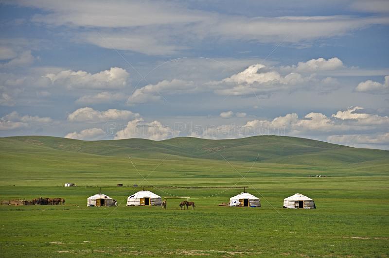 A camp of yurts on the Mongolian grassland.