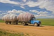Mongolian truck and trailer drives along sandy un-surfaced roads.