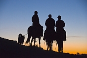Three Mongolian horsemen and dog riding into the sunset.