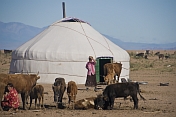 Click here to visit the Mongolia Travel Photo Gallery