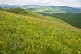 Image of A flower-filled meadow on a mountain top overlooking green and forested valleys.