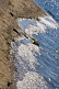 Image of Waves on the shore of the Terkhiin Tsagaan Nuur, the 'Great White Lake'.