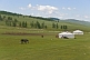 Image of A group of yurts in a forested mountain valley, with horse and Tibetan Mastiff dog.
